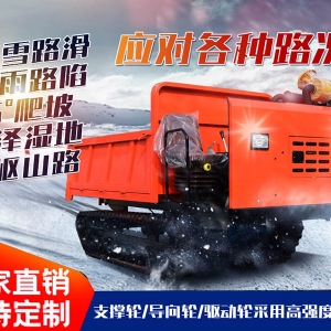 4噸履帶運(yùn)輸車(chē)